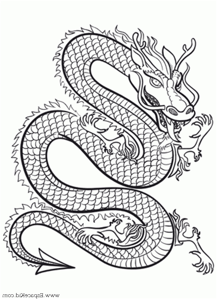 dragon chinois dessins