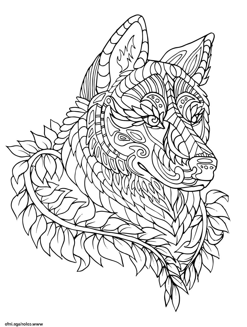 loup wolf adulte zentangle coloriage dessin