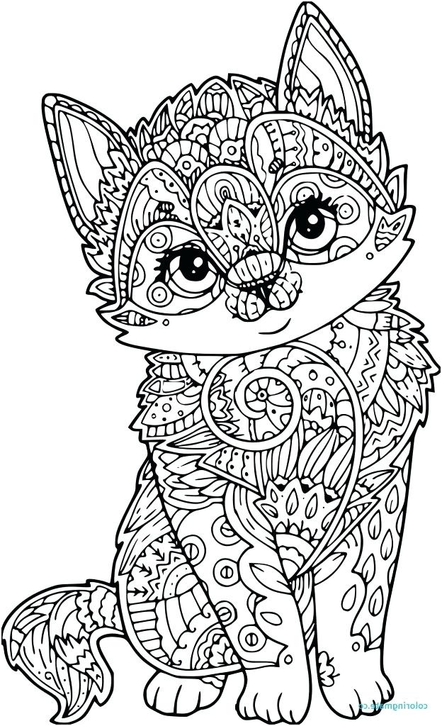 coloriage loup chat 8060