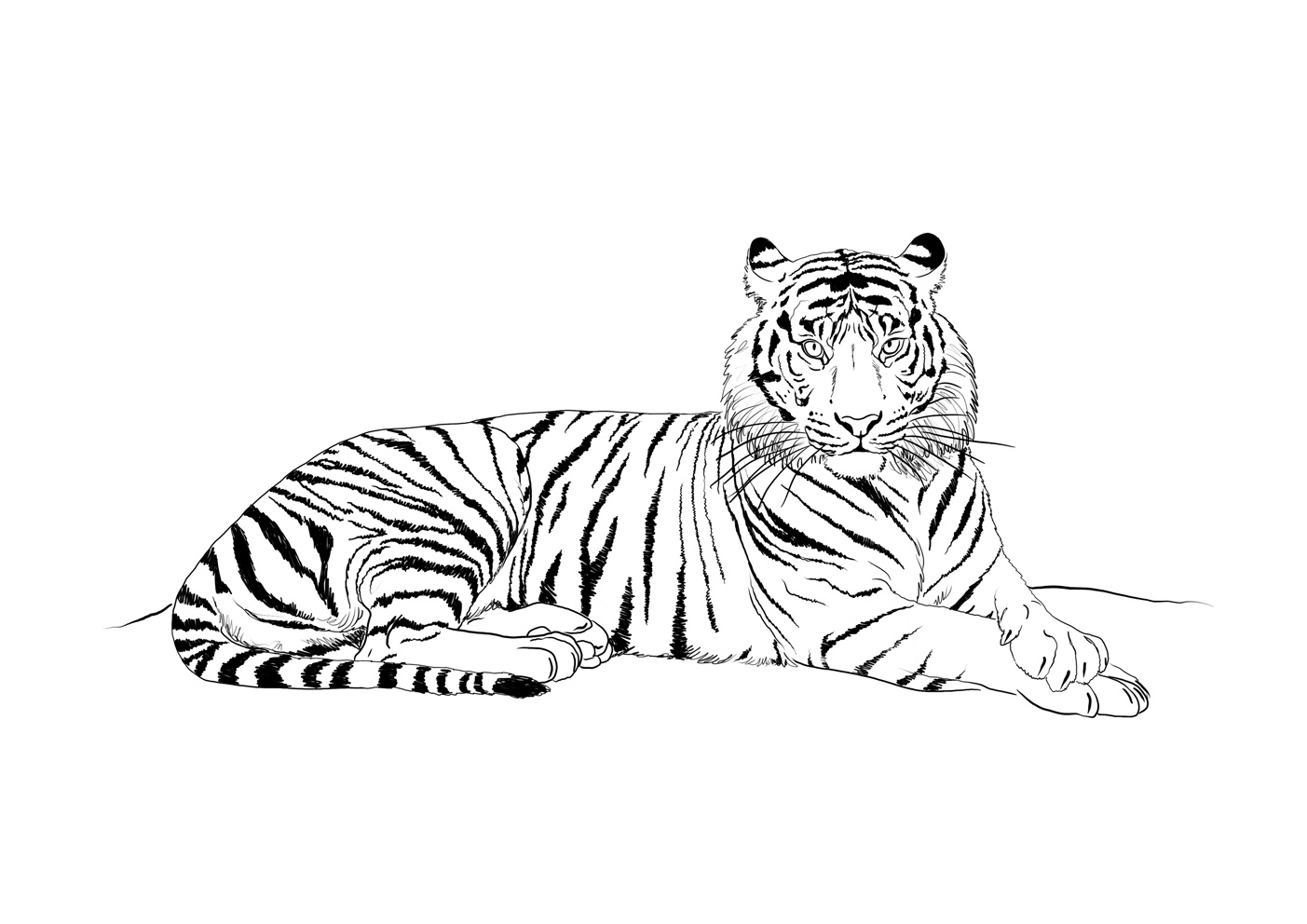 kleurplaat mandala tijger