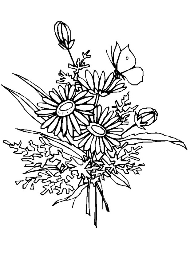bouquet de fleur marguerite