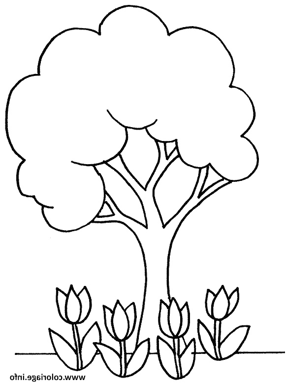 arbre printemps maternelle facile coloriage dessin