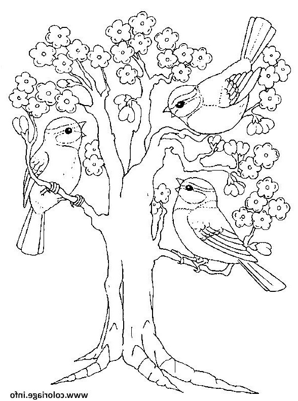 arbre printemps maternelle coloriage dessin