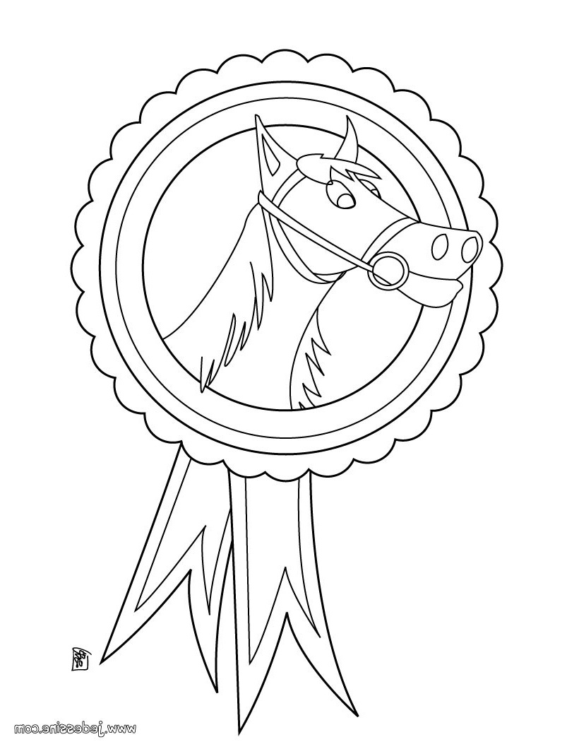medaille de petition d equitation