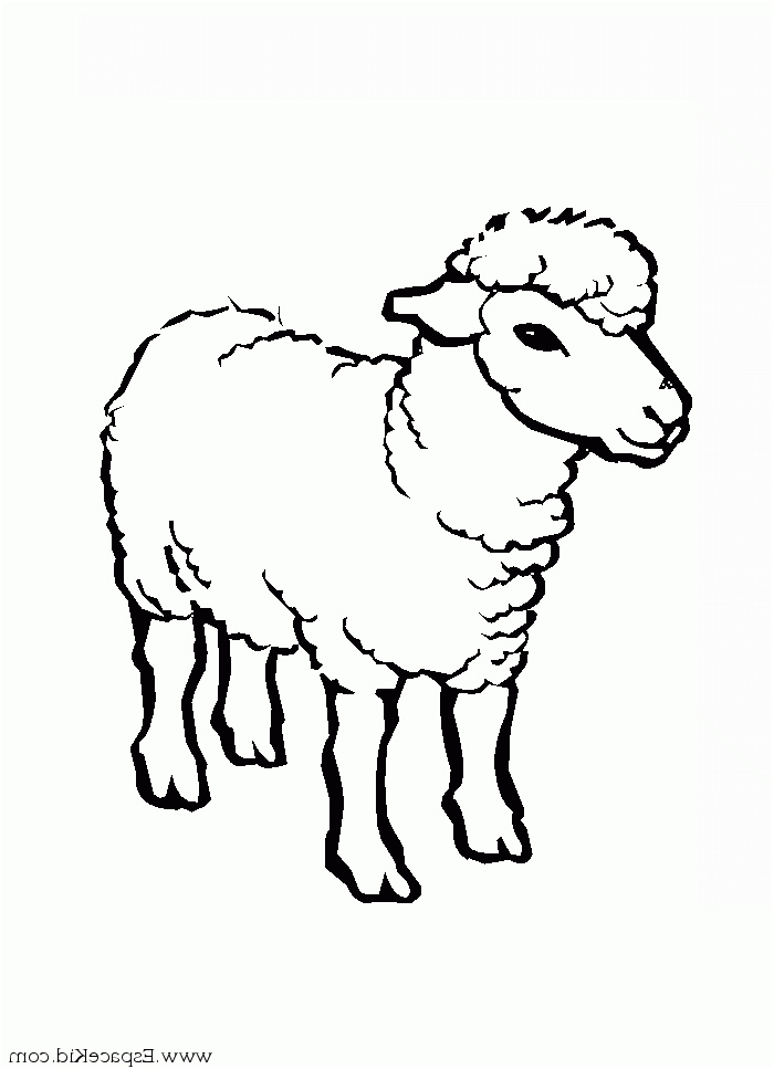 coloriage mouton