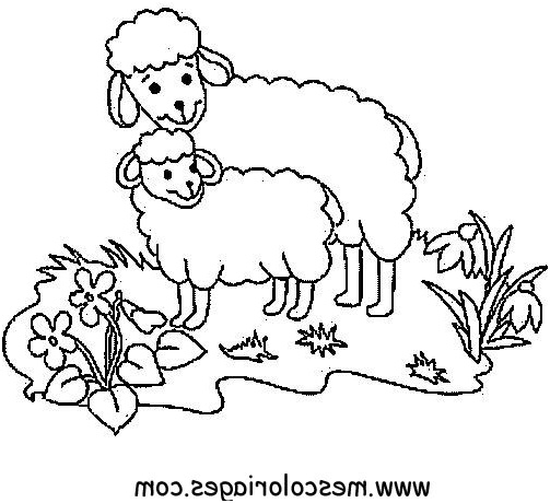 imprimer coloriage a dessiner mouton