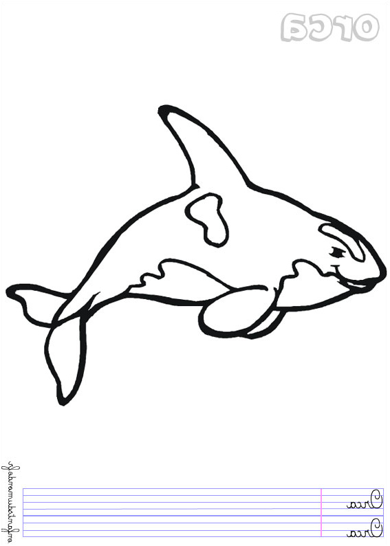 dessin mandala orque