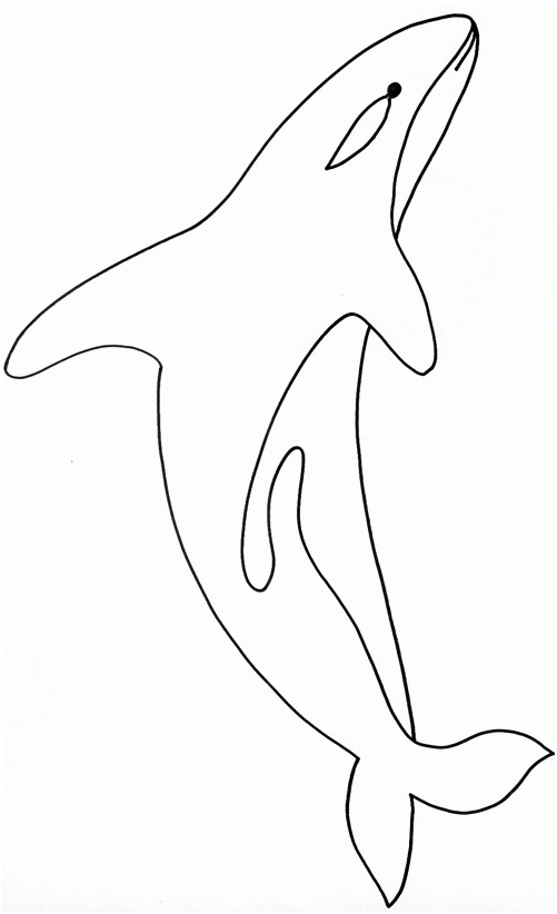 orque dessin