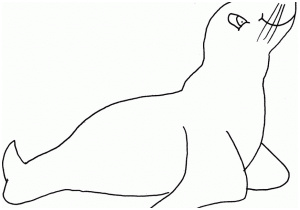 coloriage otarie coloriage animaux otarie 03 10 doigts