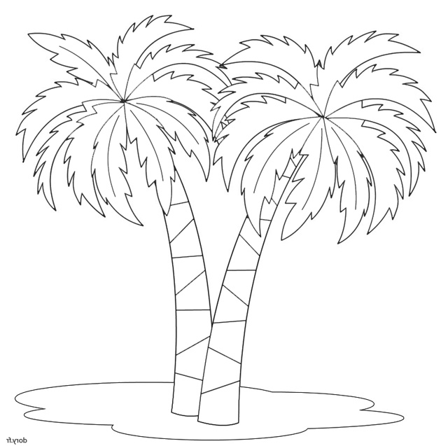 976 deux palmiers
