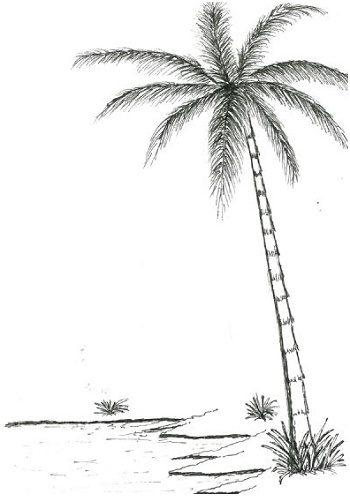 ment dessiner des palmiers