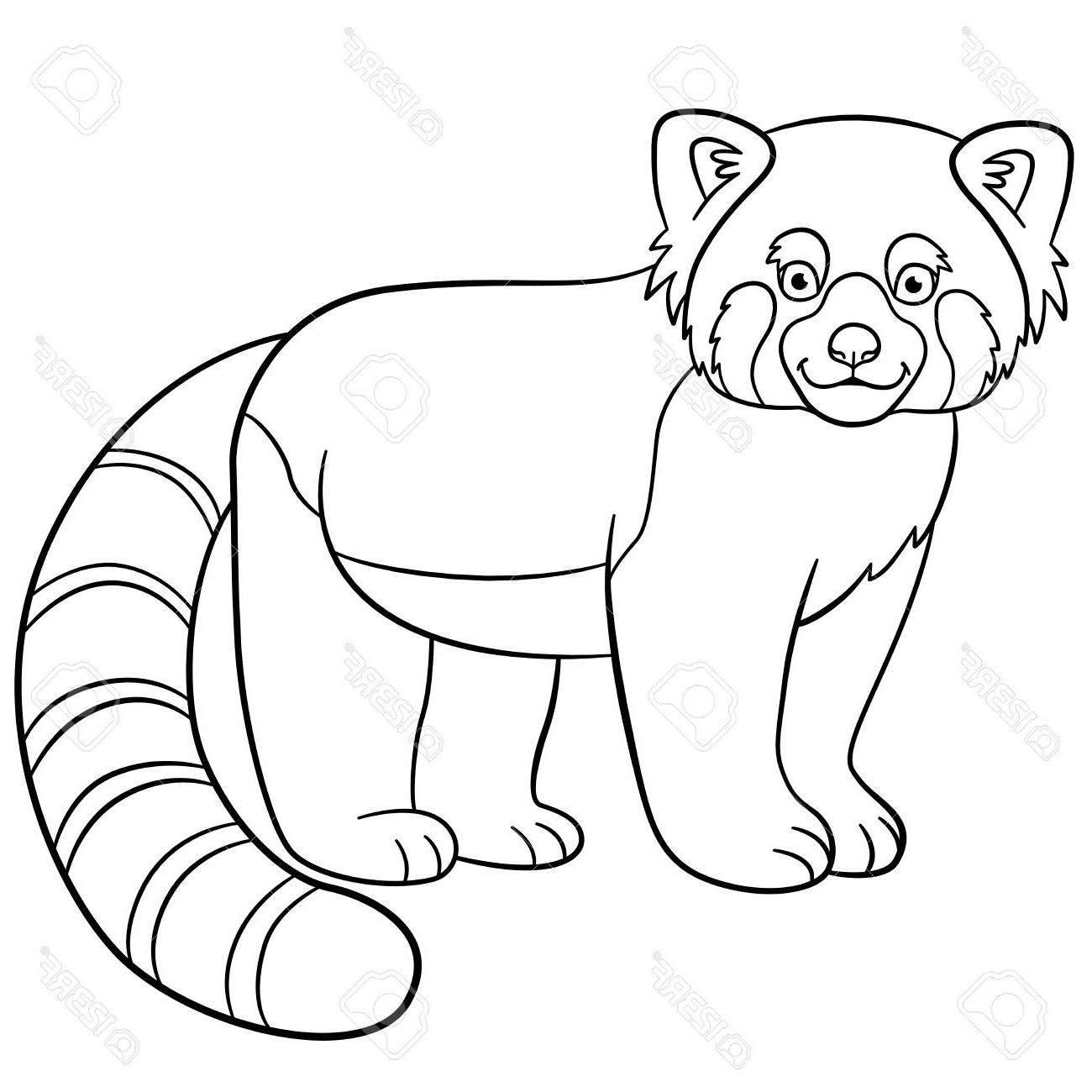 panda roux dessin pour coloriage panda roux