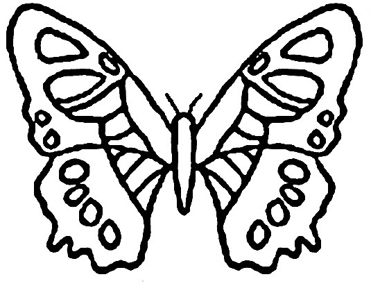 papillon maternelle vecteur