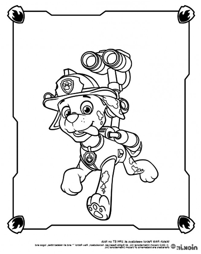 Coloriage Pat Patrouille Zuma Élégant Coloriage Pat Patrouille Marcus Le Maladroit Dessin