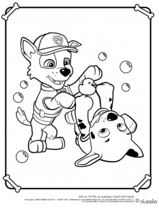 Coloriage Pat Patrouille Zuma Luxe Coloriage Pat Patrouille Coloriages Pour Enfants
