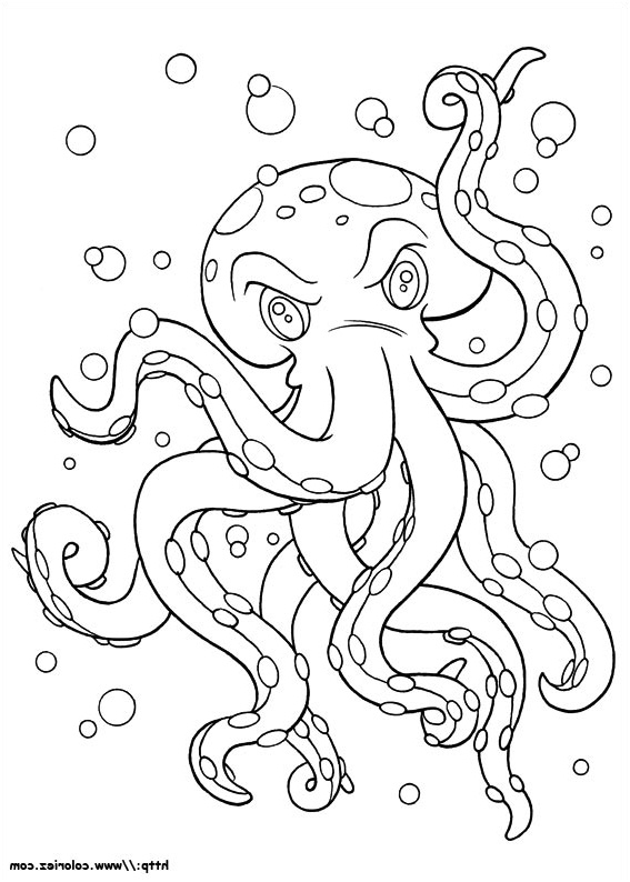 coloriage d octopus