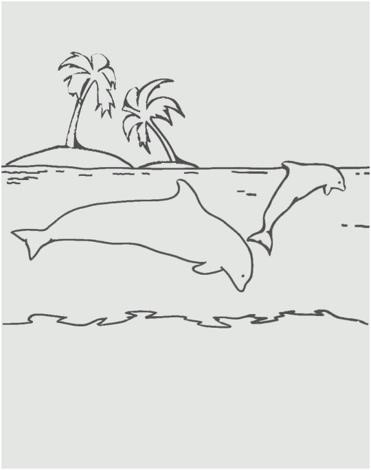dessin de palmier