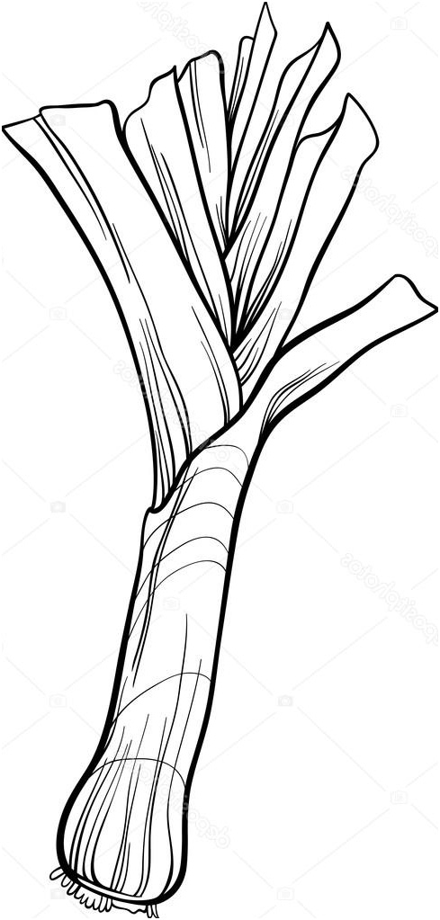 stock illustration leek ve able cartoon for coloring