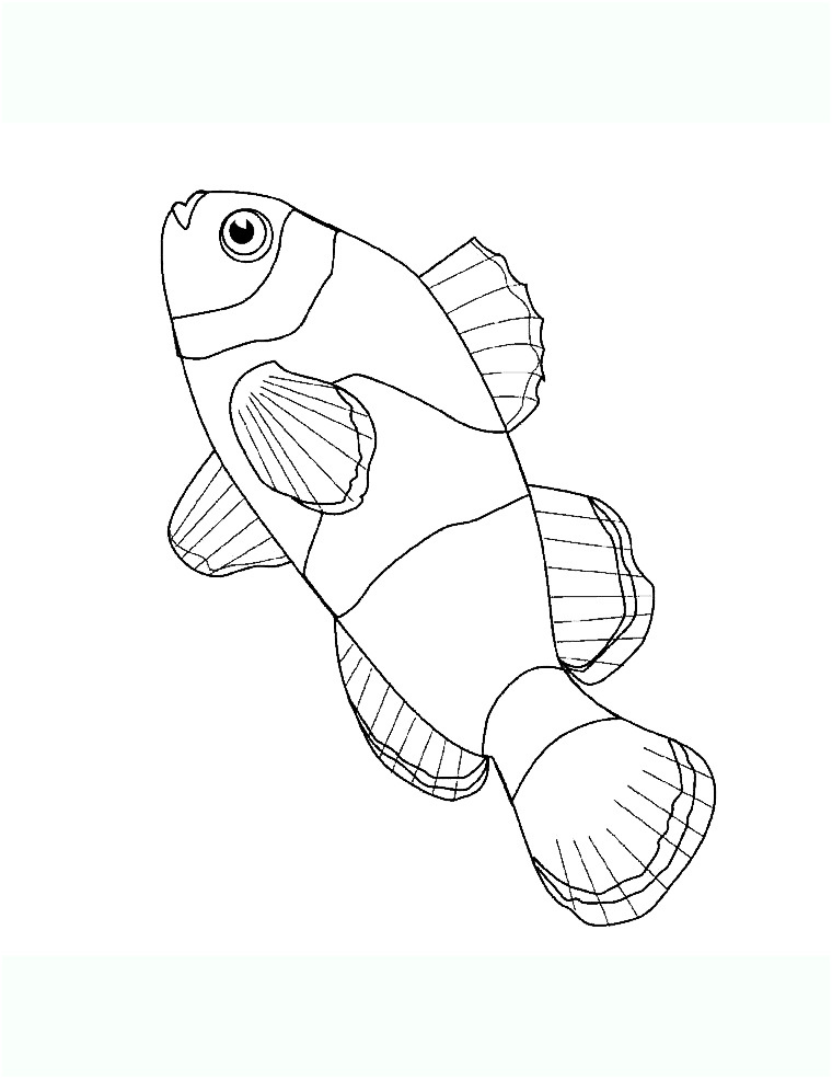 image=poissons coloriage poisson 2 1