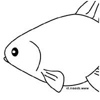 dessin poisson rouge