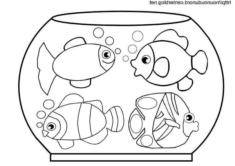 coloriage poisson damp039avril gratuit imprimer ideas coloriages poissons