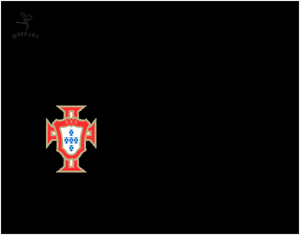 maillot de la coupe du monde 2014 le portugal