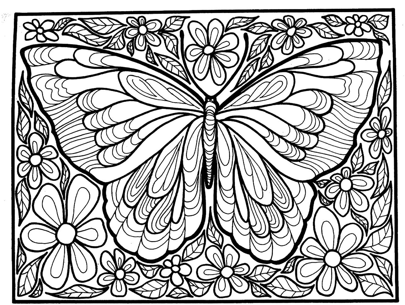 image=insectes coloriage adulte difficile grand papillon 1