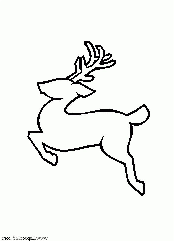 dessin de rennes