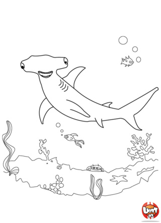 ment dessiner un requin marteau