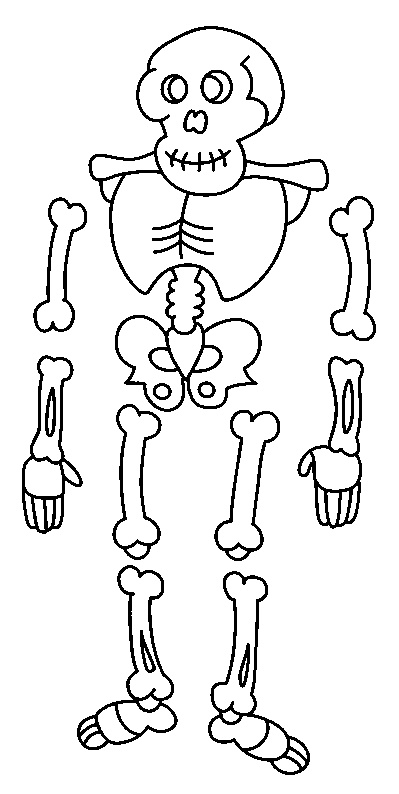 coloriages halloween citrouille sorciere squelette