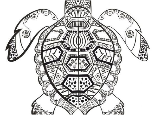 coloriage mandala tortue a imprimer