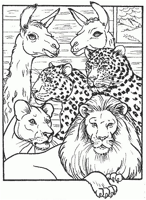 coloriage lion lionne jaguars et lamas