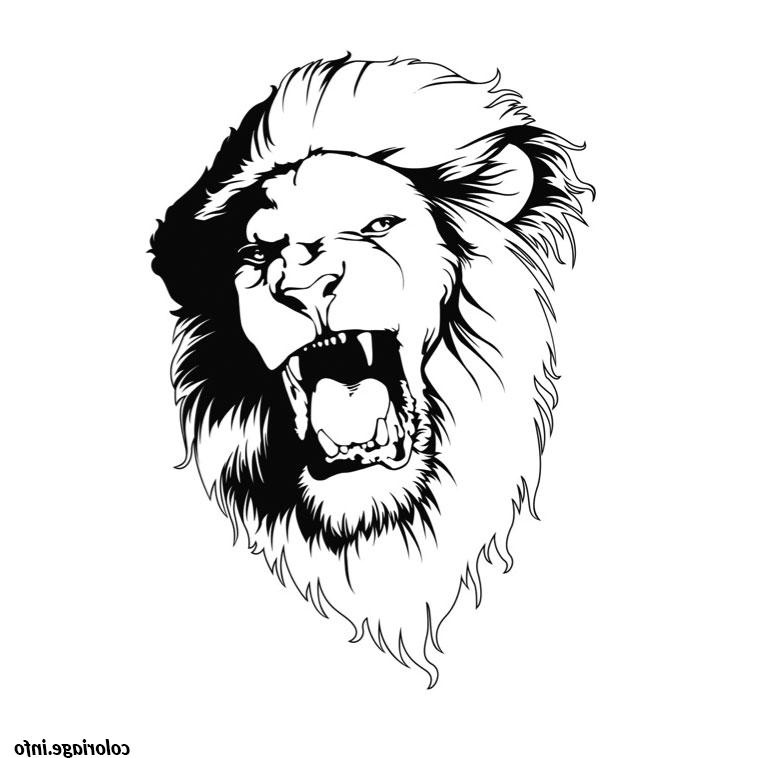 tete de lion coloriage