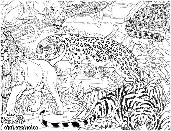 guepard tigre et lion dans la jungle coloriage