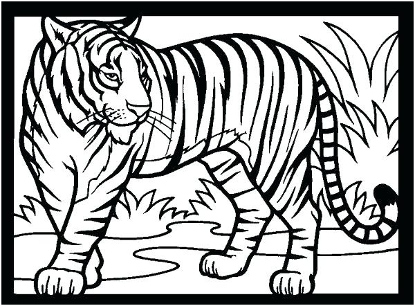 coloriage a imprimer mandala tigre