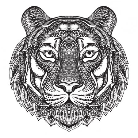 tigre blanc mandala