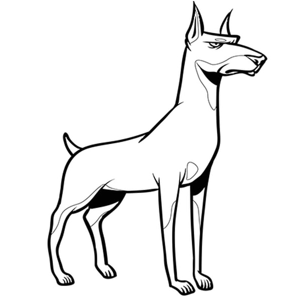 chien dogue allemand coloriage