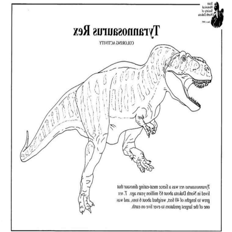coloriage tyrannosaure rex nouveau tyrannosaure tyrannosaurus rex ou t rex article sur