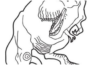 tyrannosaure dessin coloriage coloring tyrannosaurus