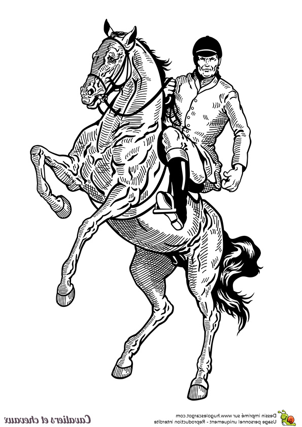 cheval cavalier dessin coloriage