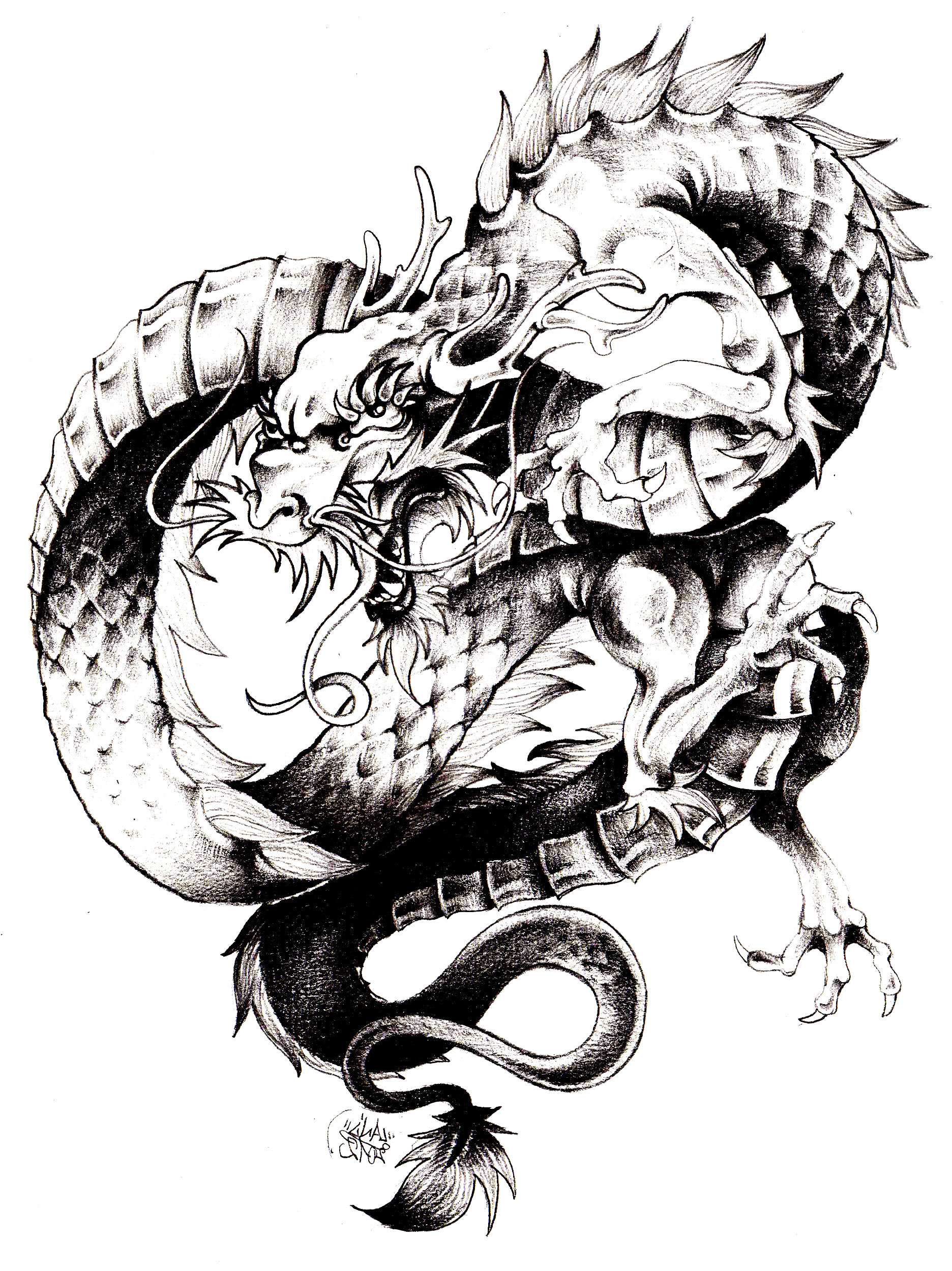 image=chine asie coloriage adulte dragon chine 1