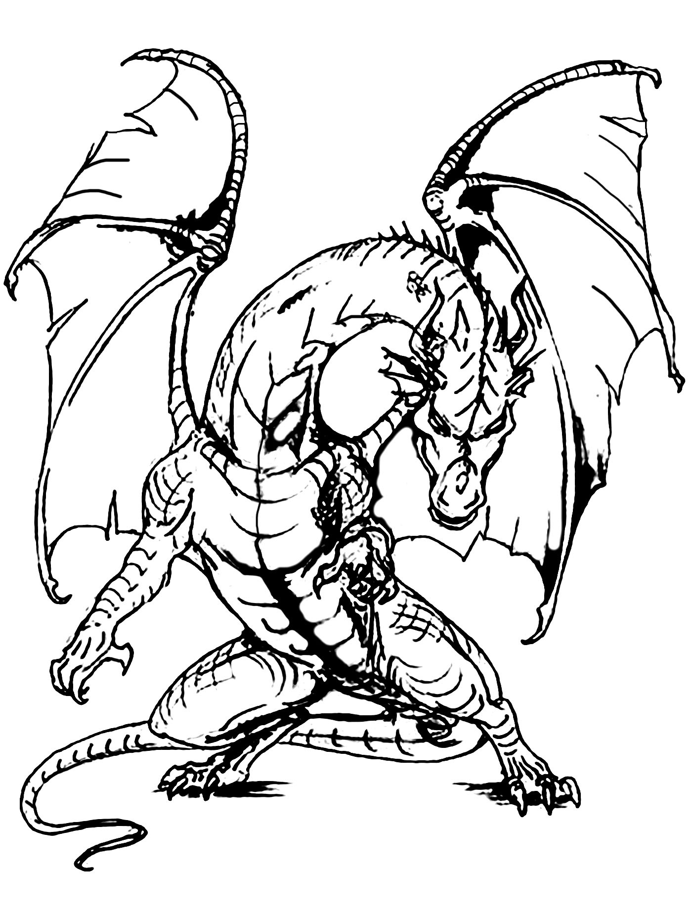 image=chevaliers et dragons coloriage dragon magnifique a telecharger 1
