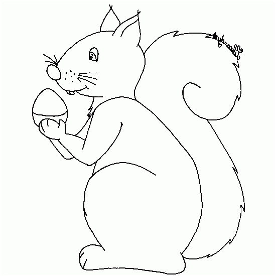 ment dessiner ecureuil facilement