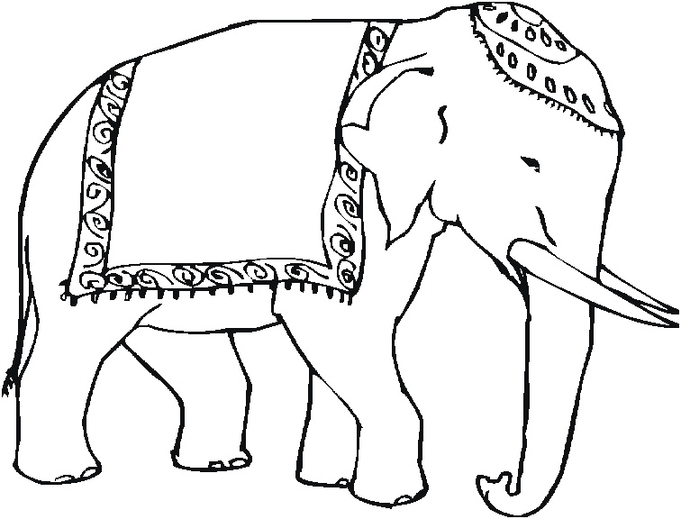 coloriage Elephant 0