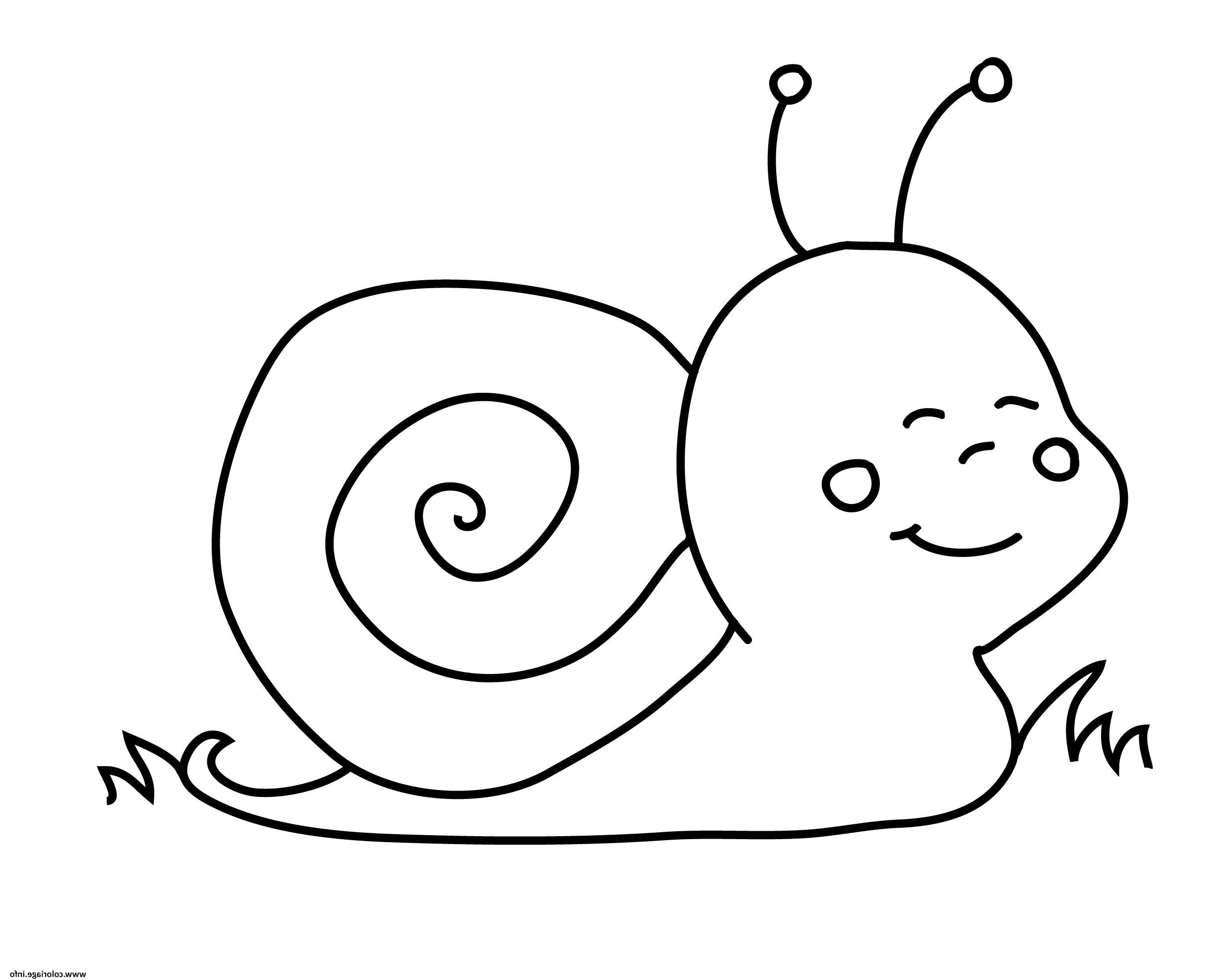 escargot minion coloriage dessin