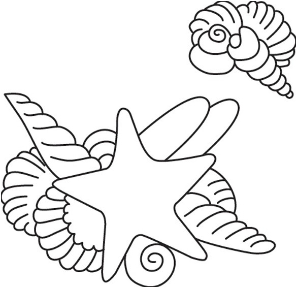 Etoile De Mer Coloriage Frais Coloriage La Mer Etoile De Mer 02 10 Doigts