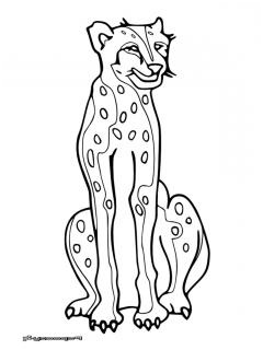 coloriage guepard