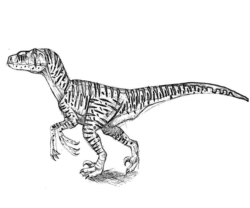 jurassic park coloring pages