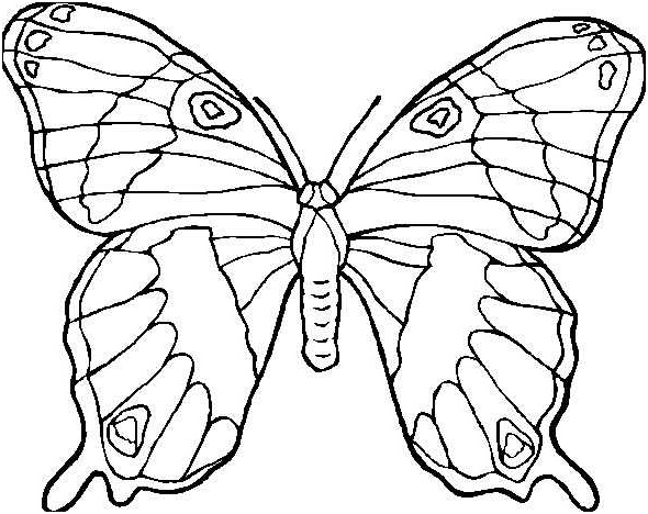 coloriage papillon maternelle 5