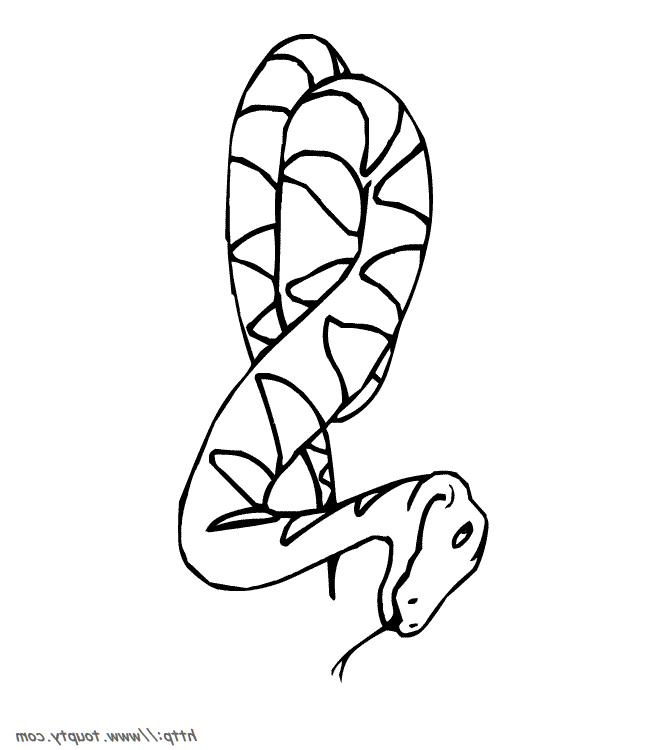 coloriage a imprimer serpent